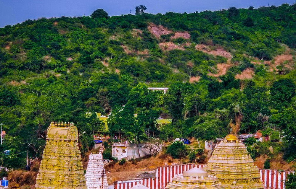 Sri Varahalakshmi Narasimha Swamy Vari Devasthanam